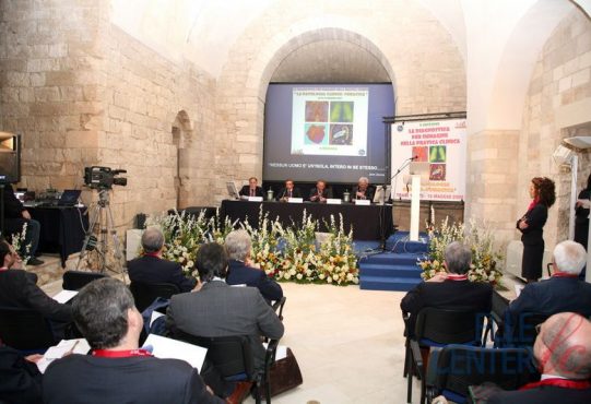 Trani_Castello_maggio_2009_(b)__cms_33